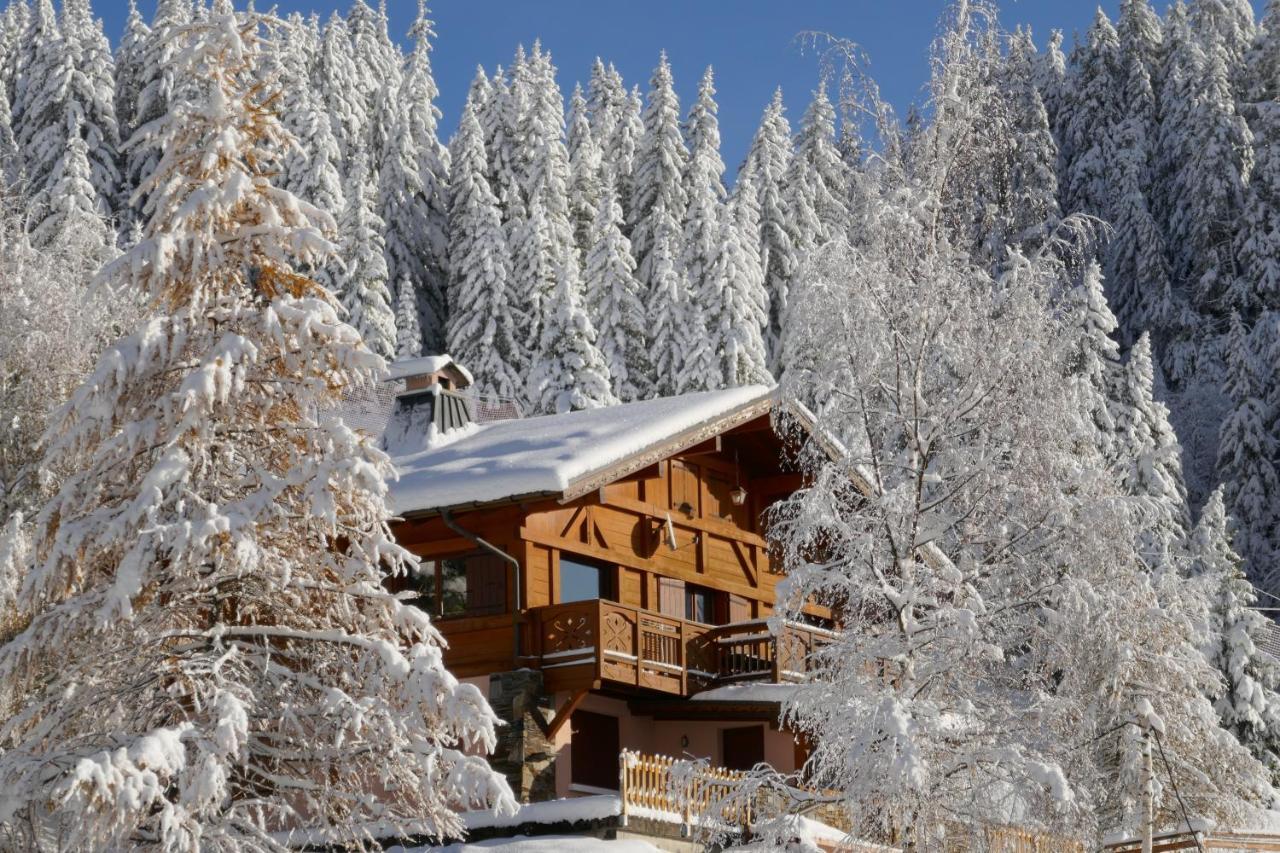 Les Saisies Cote Legette Appartement Dans Chalet Le Nepal Buitenkant foto